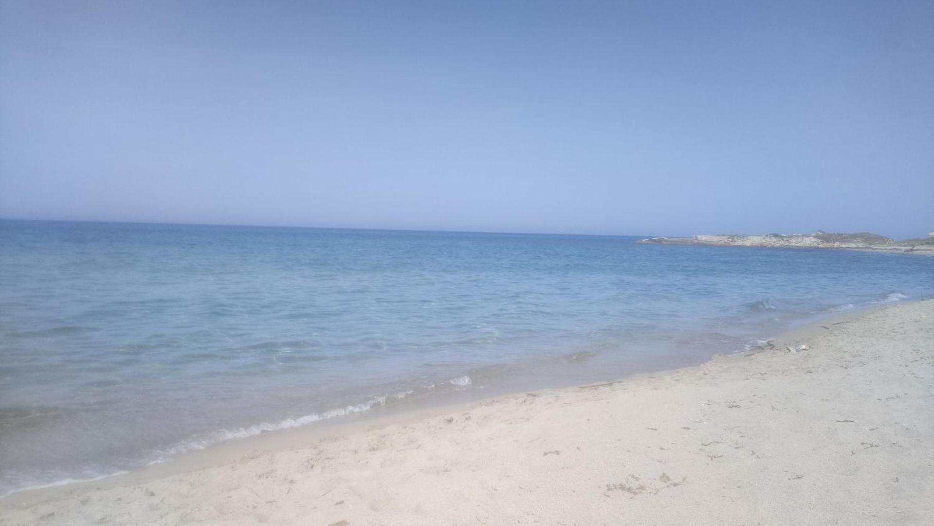 Casa Vacanza In Pieno Centro Storico Vicino Ostuni E La Riserva Di Torre Quaceto Сан-Вито-деи- Норманни Номер фото